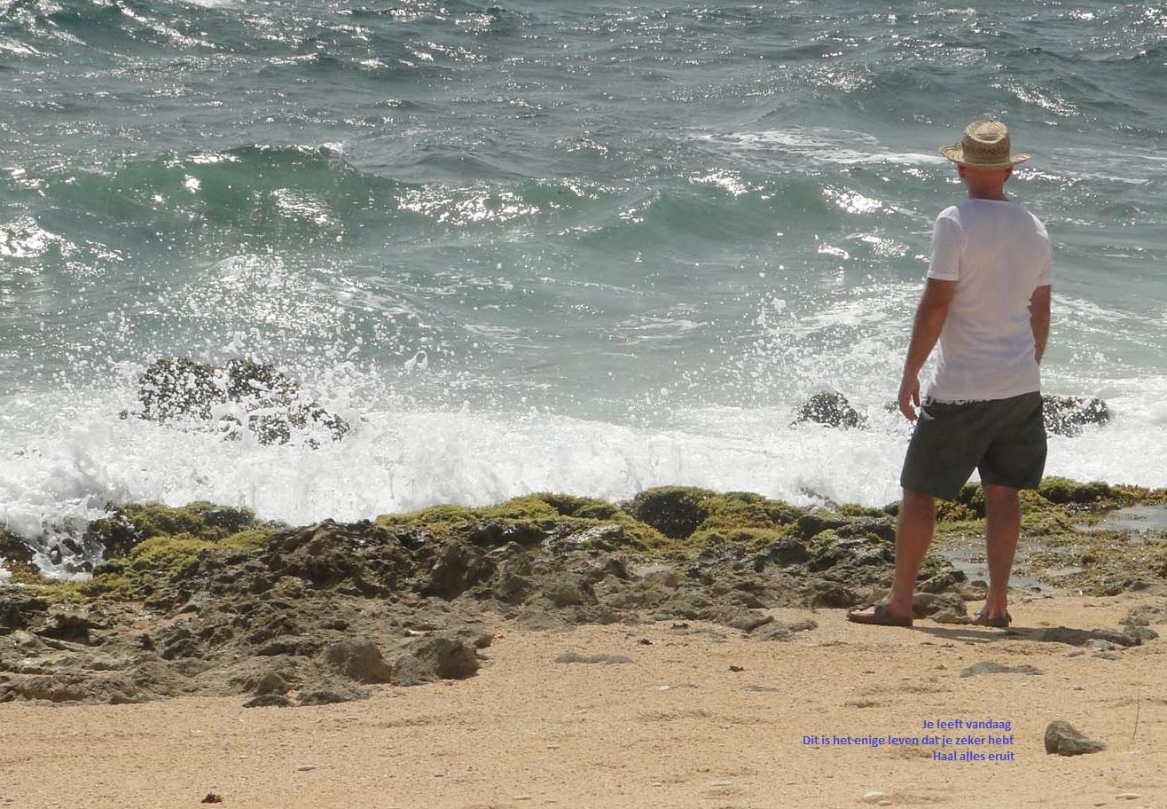 In memoriam: Jos Willemsen