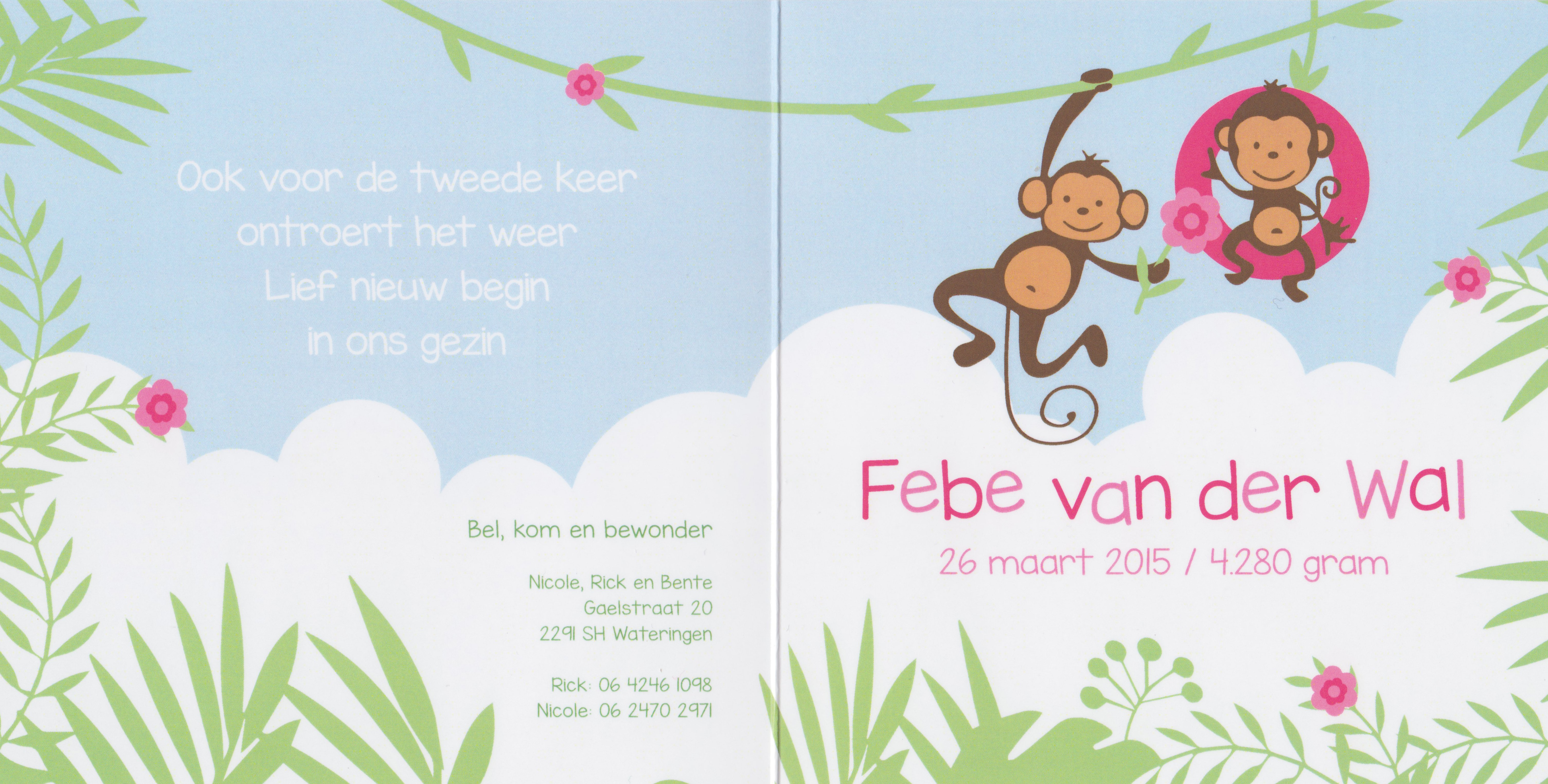 Geboorte nieuws van Febe van der Wal