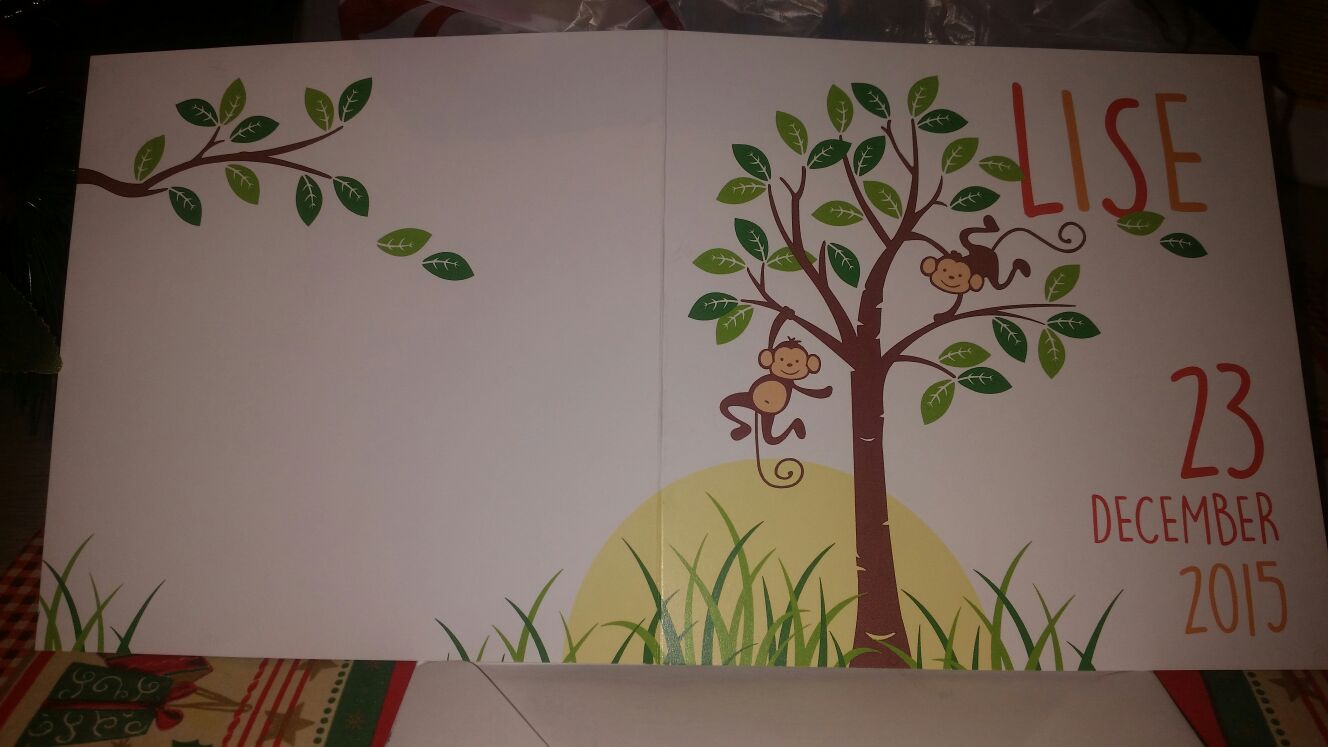 Geboorte nieuws van Lise