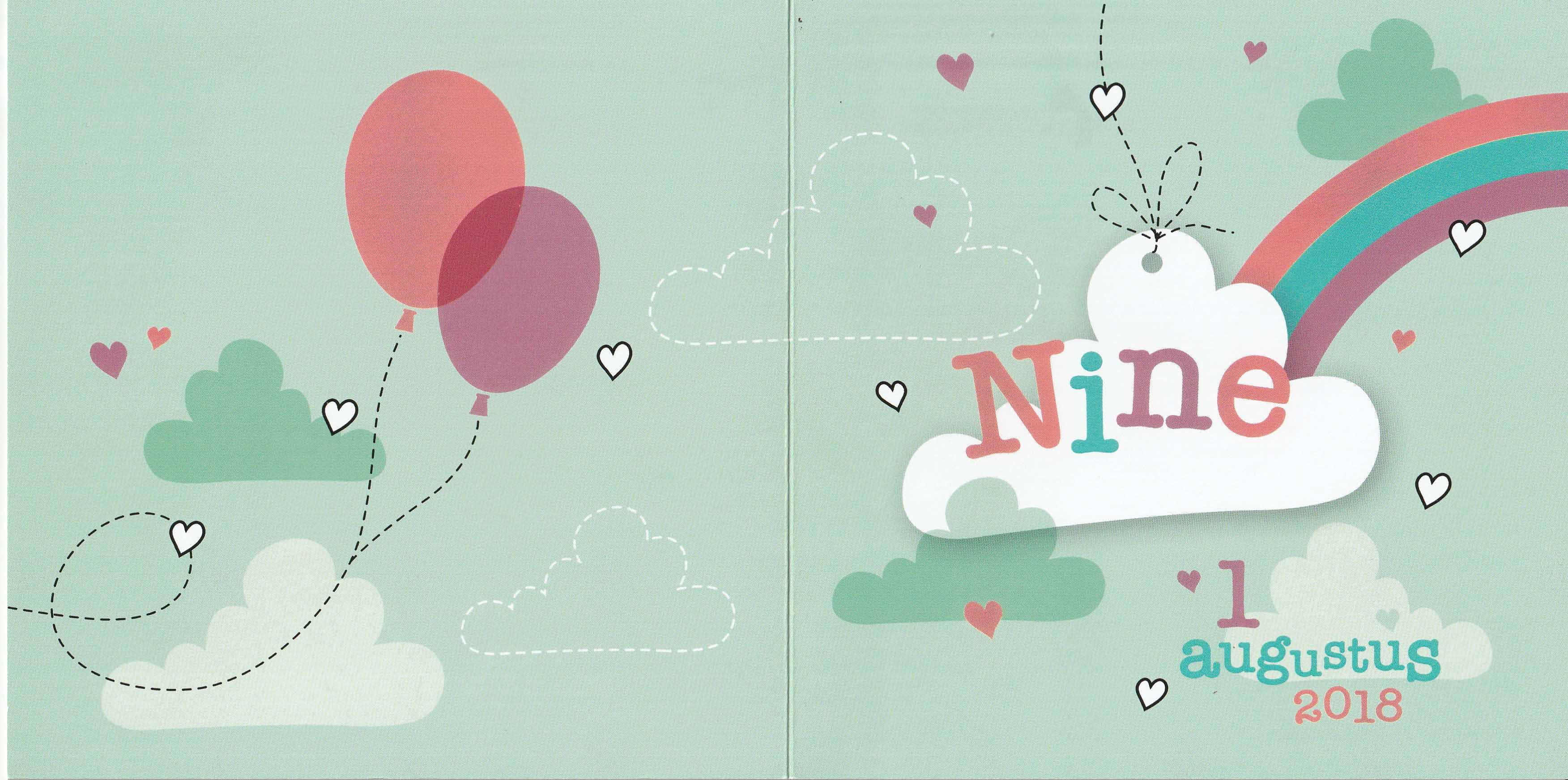 Geboorte nieuws van Nine Dieleman