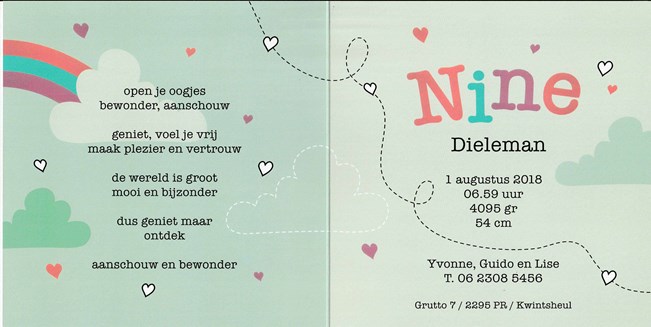 Nine 2