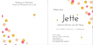 Afbeelding1