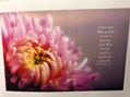 IMG-20210120-WA0000