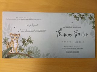 Thomas Tilgenkamp 2