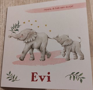evi2