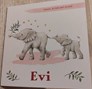 evi2