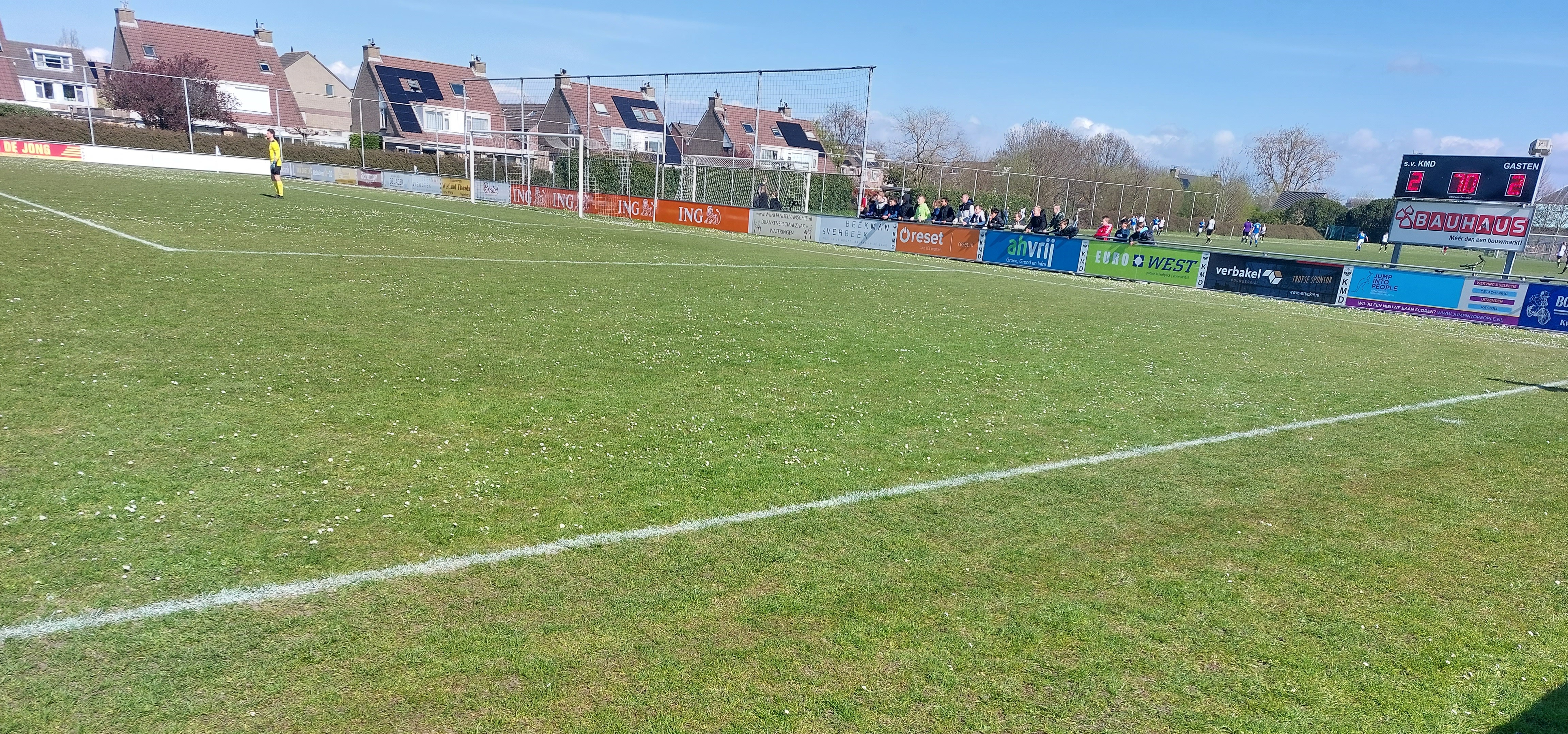 Gras begint te groeien