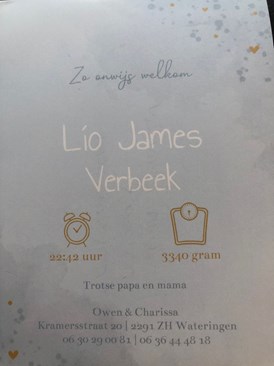 Lio James 2