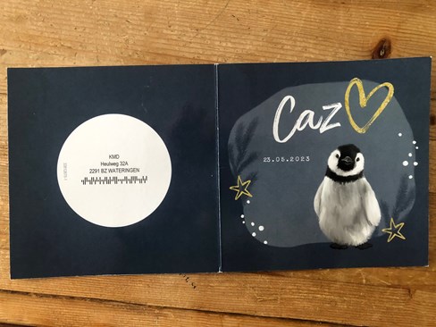 Caz 1