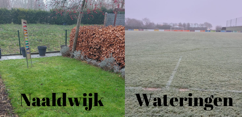 Wel of niet afgekeurd?