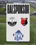 Vitesse Delft
