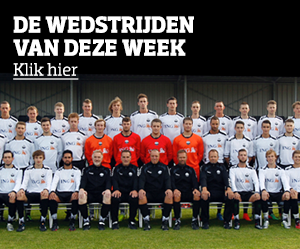 De wedstrijden